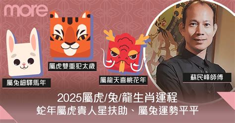 55年生肖|2025蘇民峰生肖運程合集 蛇年十二生肖運勢重點 流年犯太歲化解。